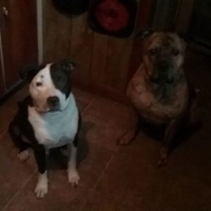 Meet your Posher, Phil